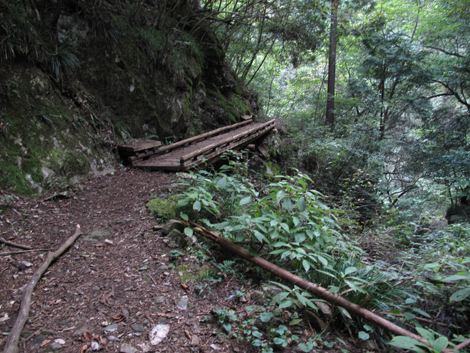 20161014hike (296)
